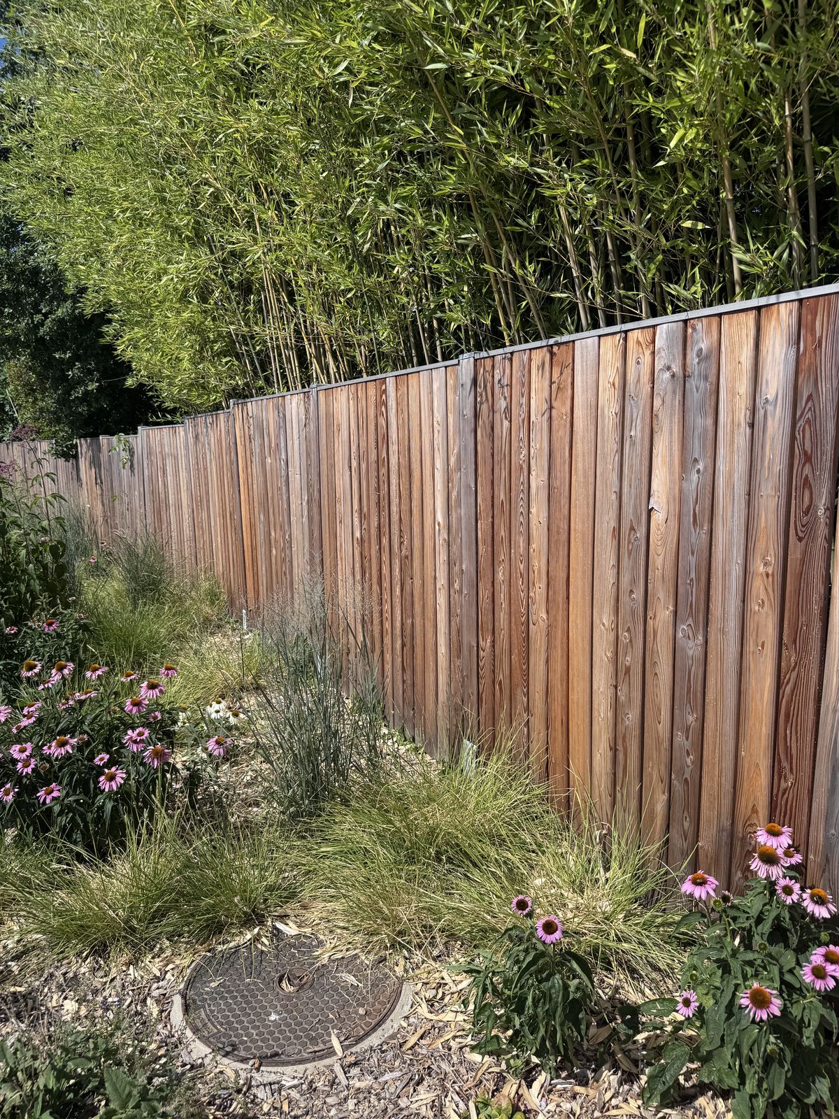 Timber fencing, Larch fencing, Pregny-Chambésy