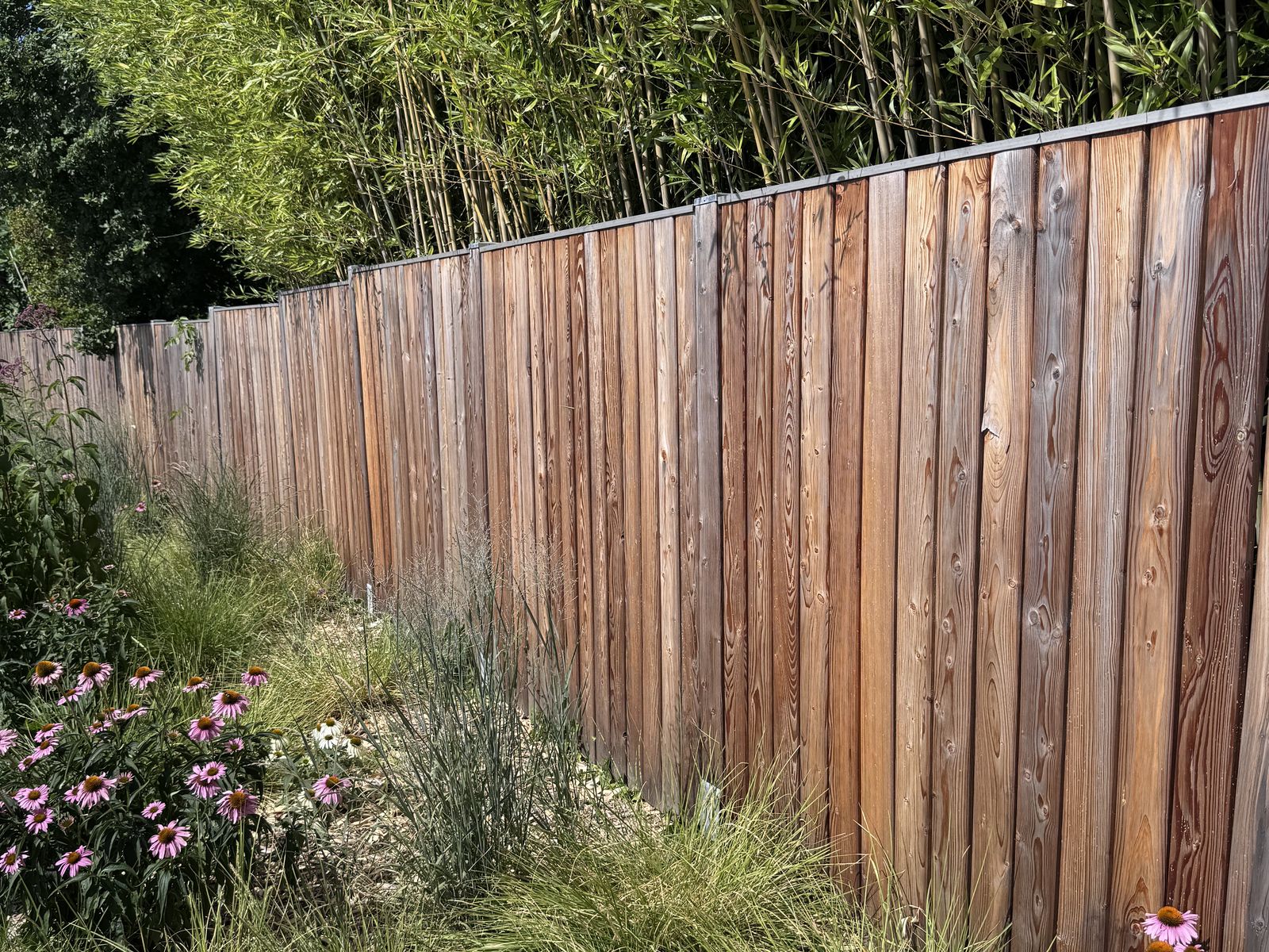 Timber fence installed by Concept Clôtures, Geneva region