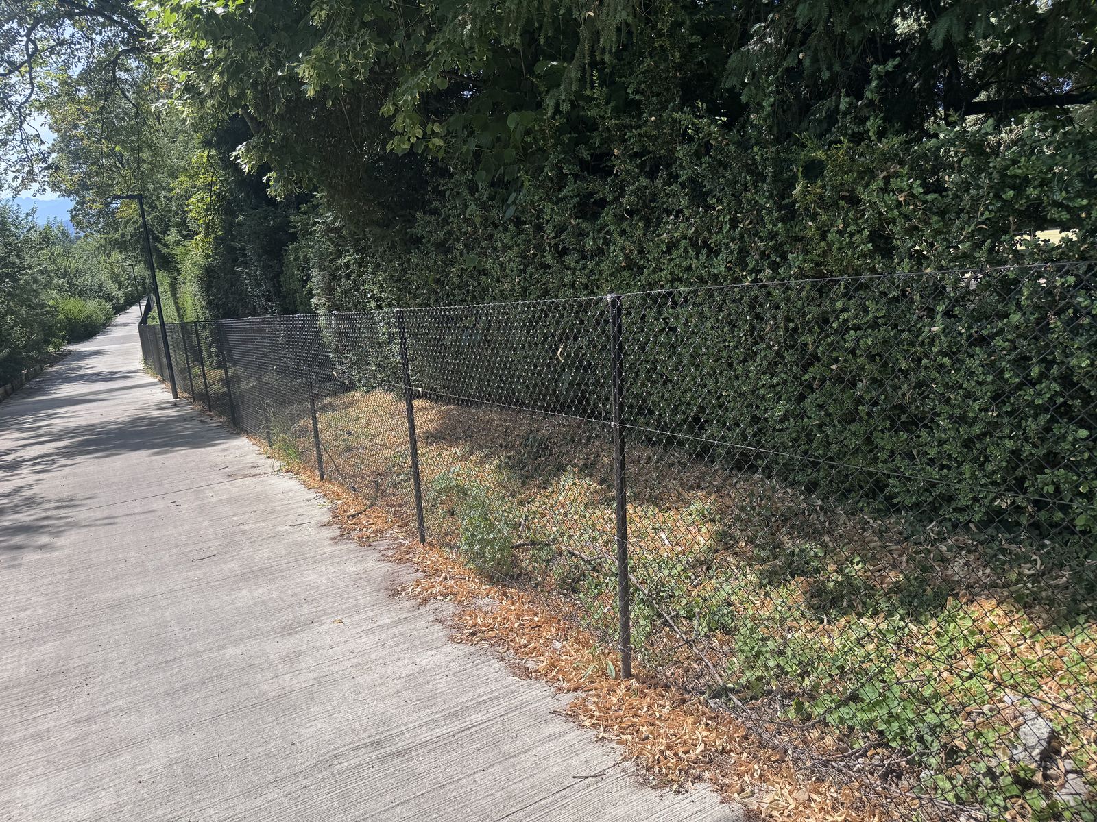 Black chain-link fence installed by Concept Clôtures, Geneva region