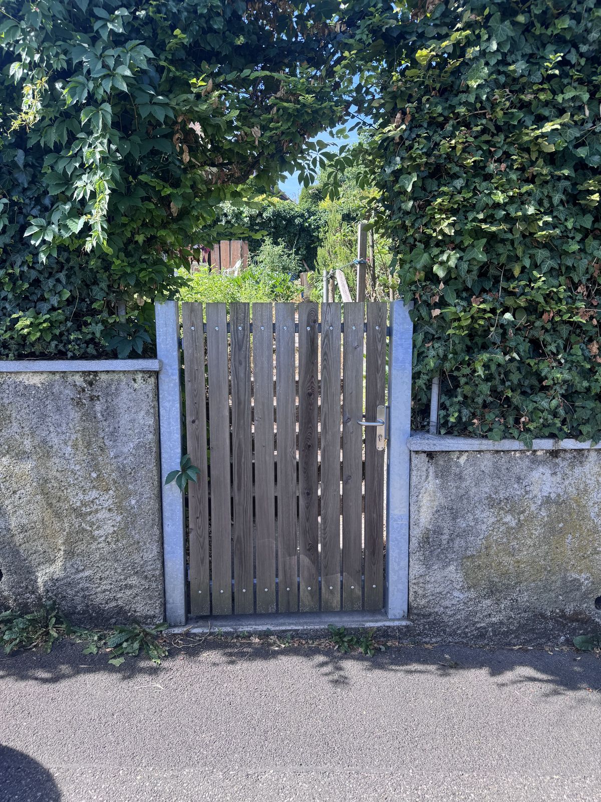 Gates, Larch gate, Pregny-Chambésy