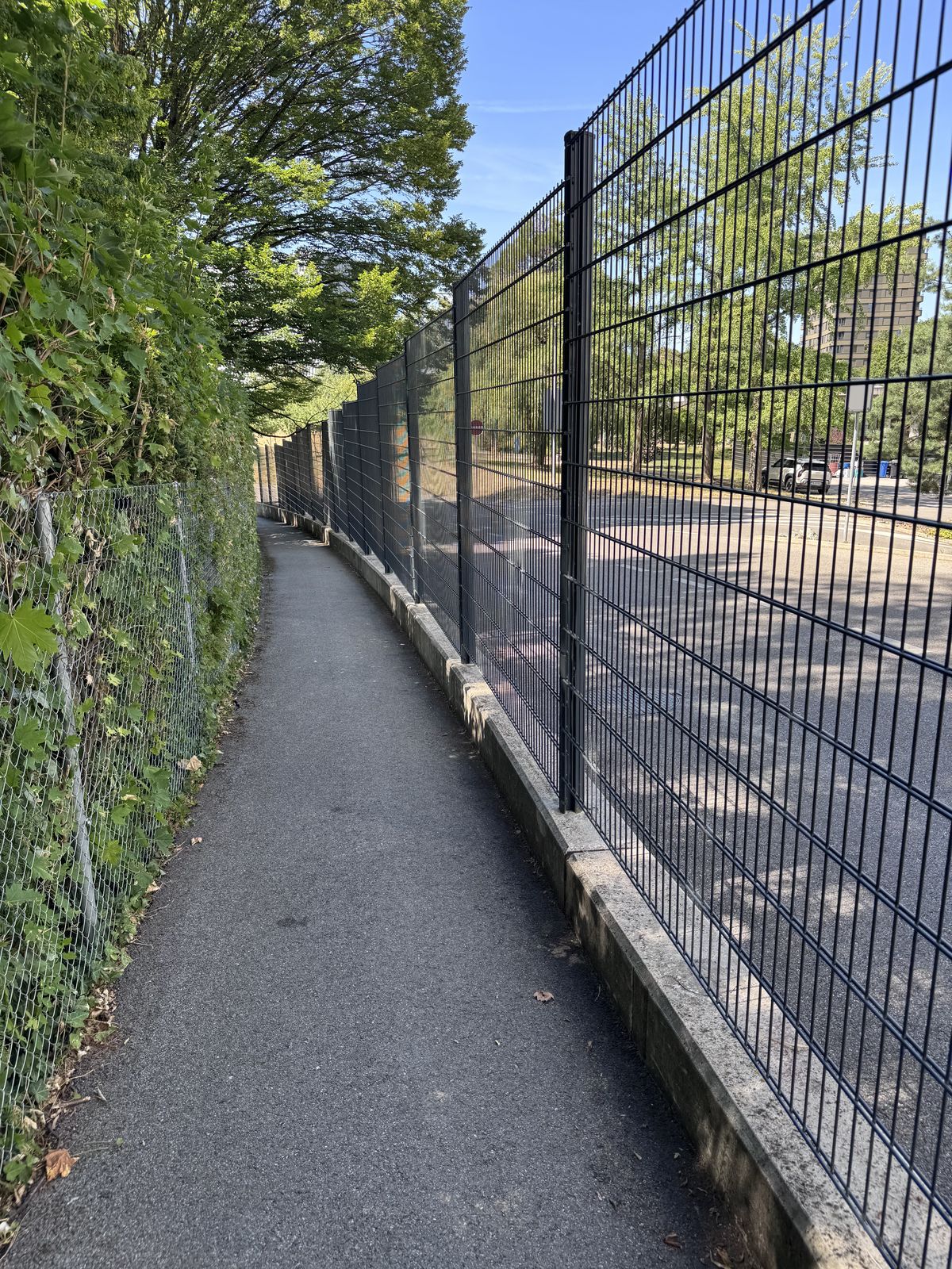 Rigid welded mesh fencing, Double-wire fencing, Grand-Saconnex