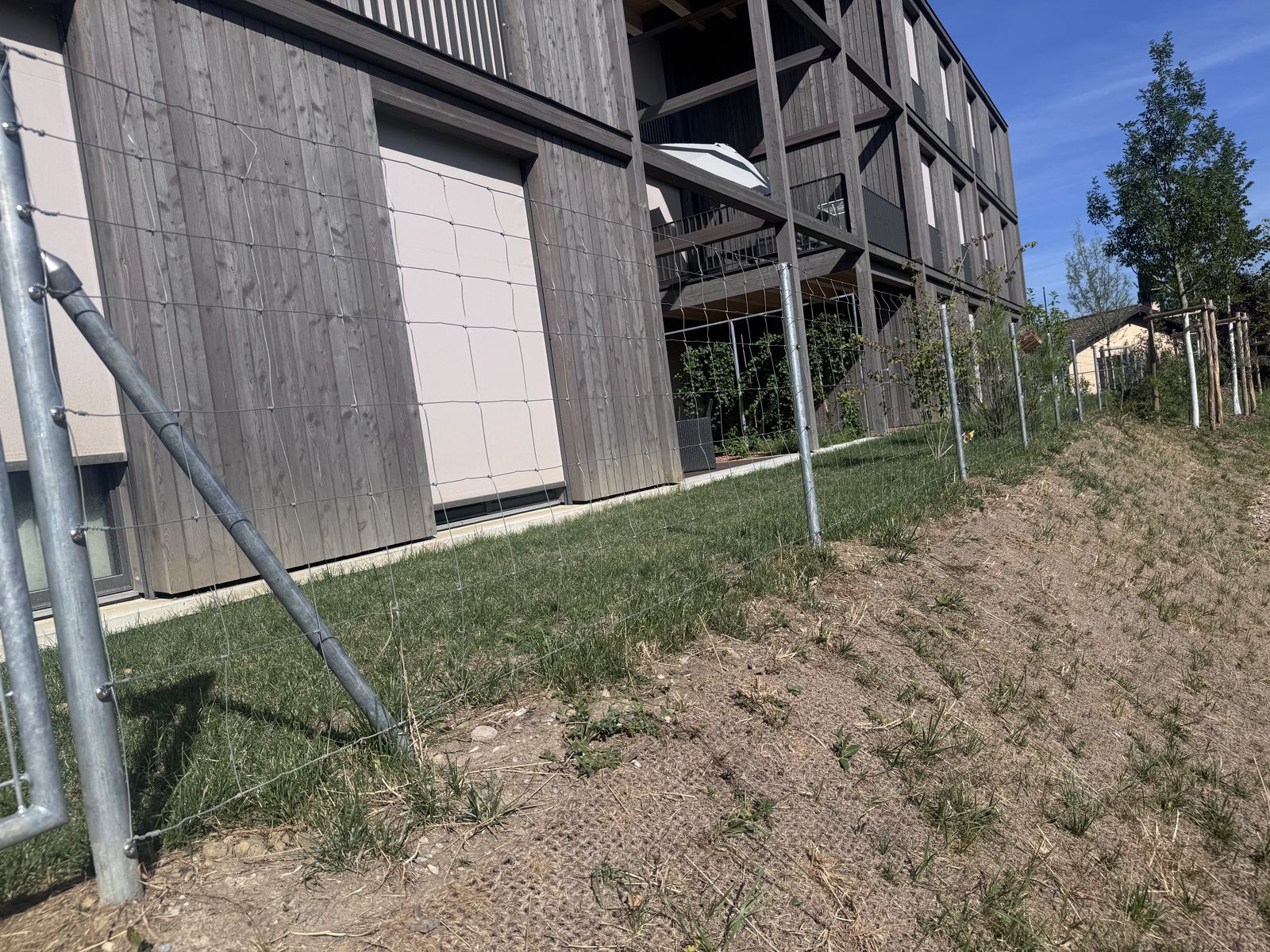 Ursus knotted wire fencing, Plan-les-Ouates